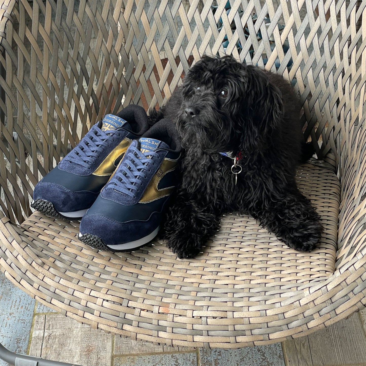 Product image for Herring Ensign Trainer mens rubber-soled trainers in blue suede and navy calf