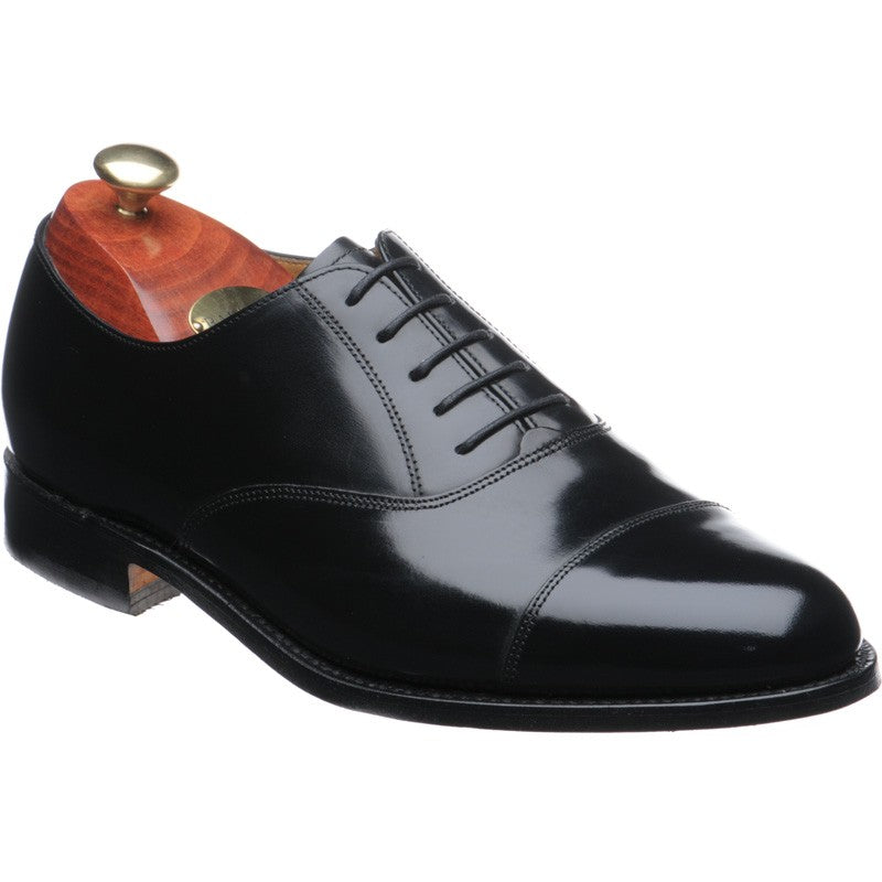 Arnold Oxfords polished