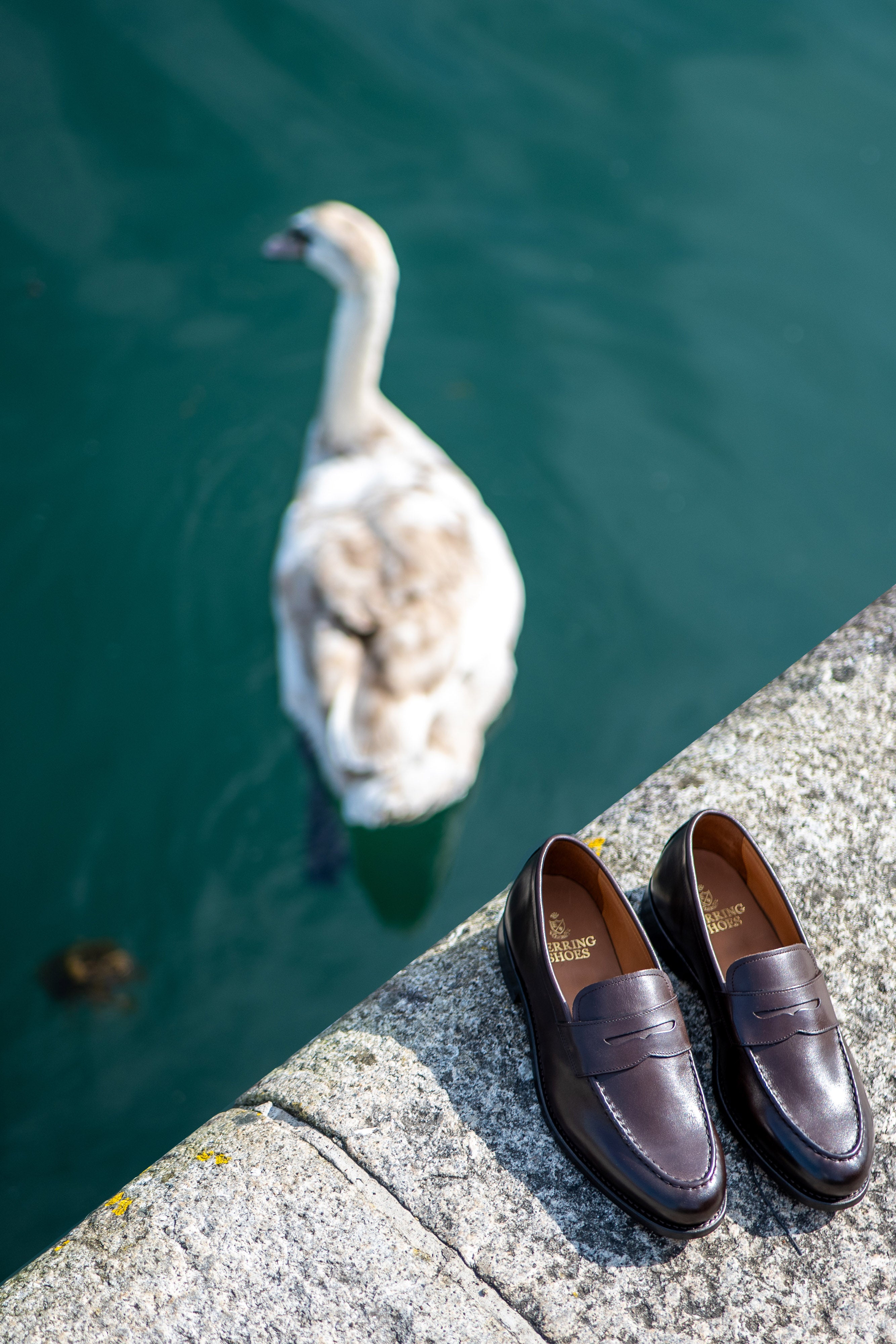 Herring Shoes Herring Shoes