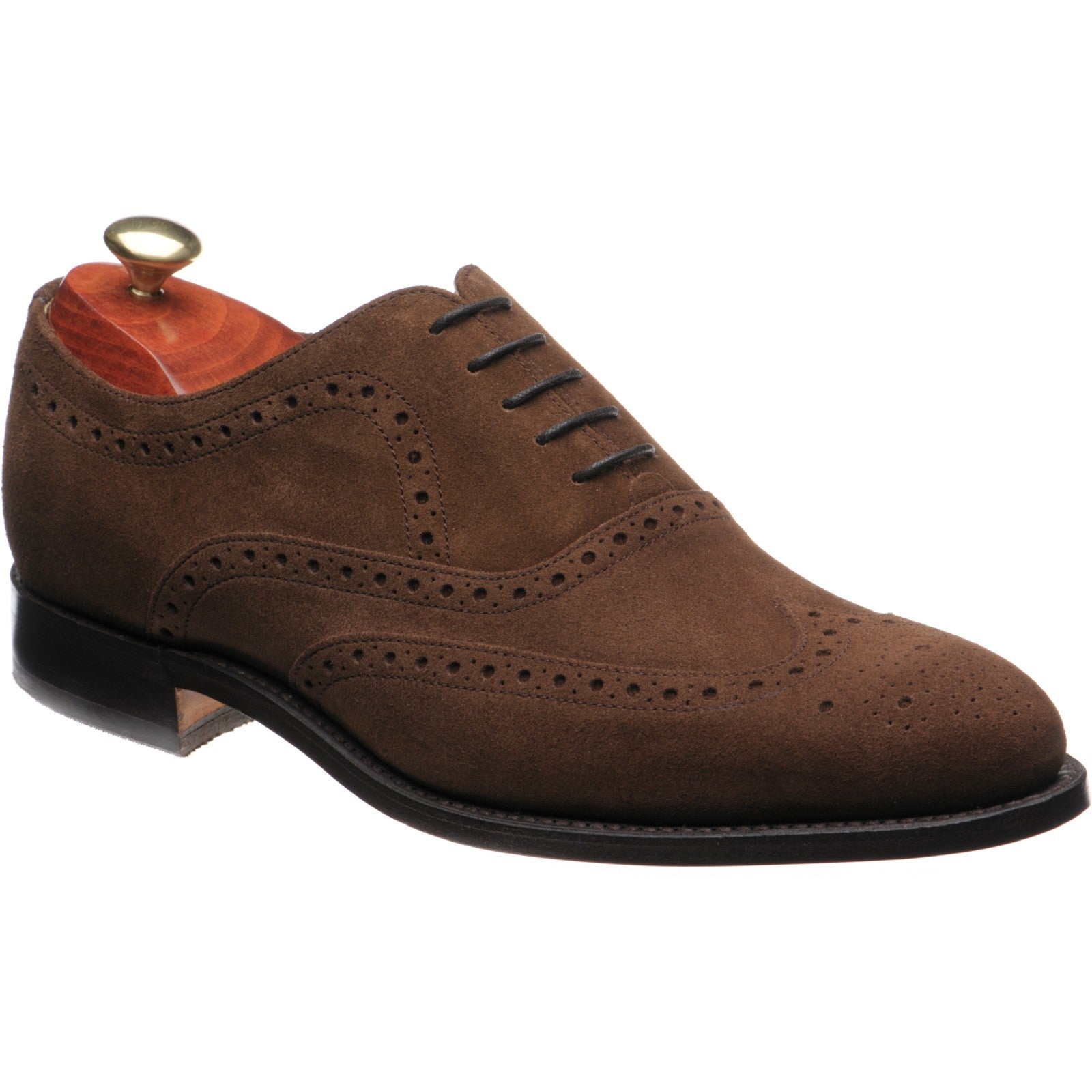 Hampstead brogues castagnia suede