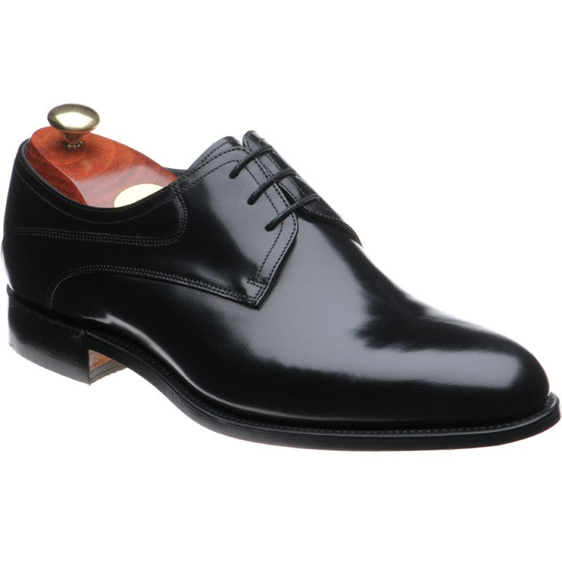 Wickham Derby shoes polished