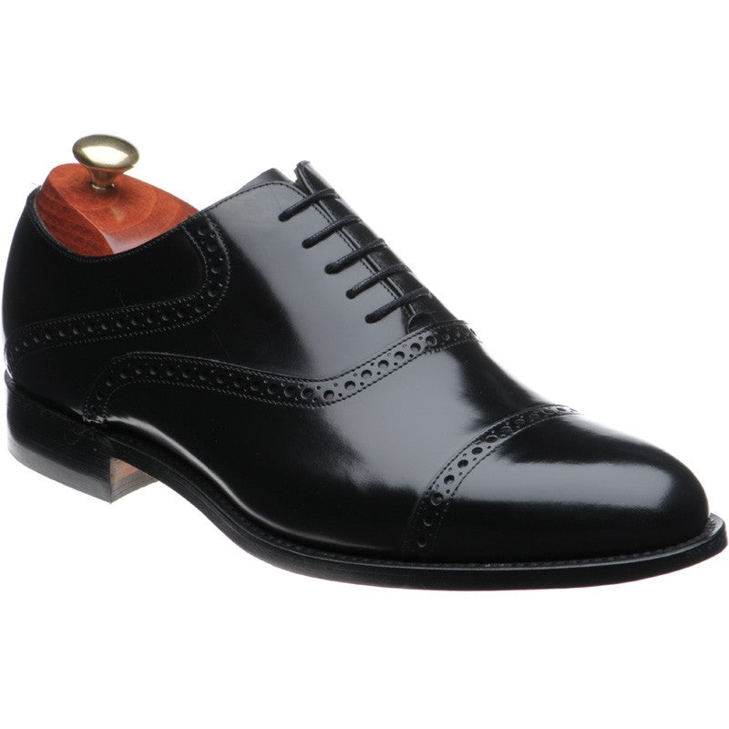 Wilton semi brogues polished