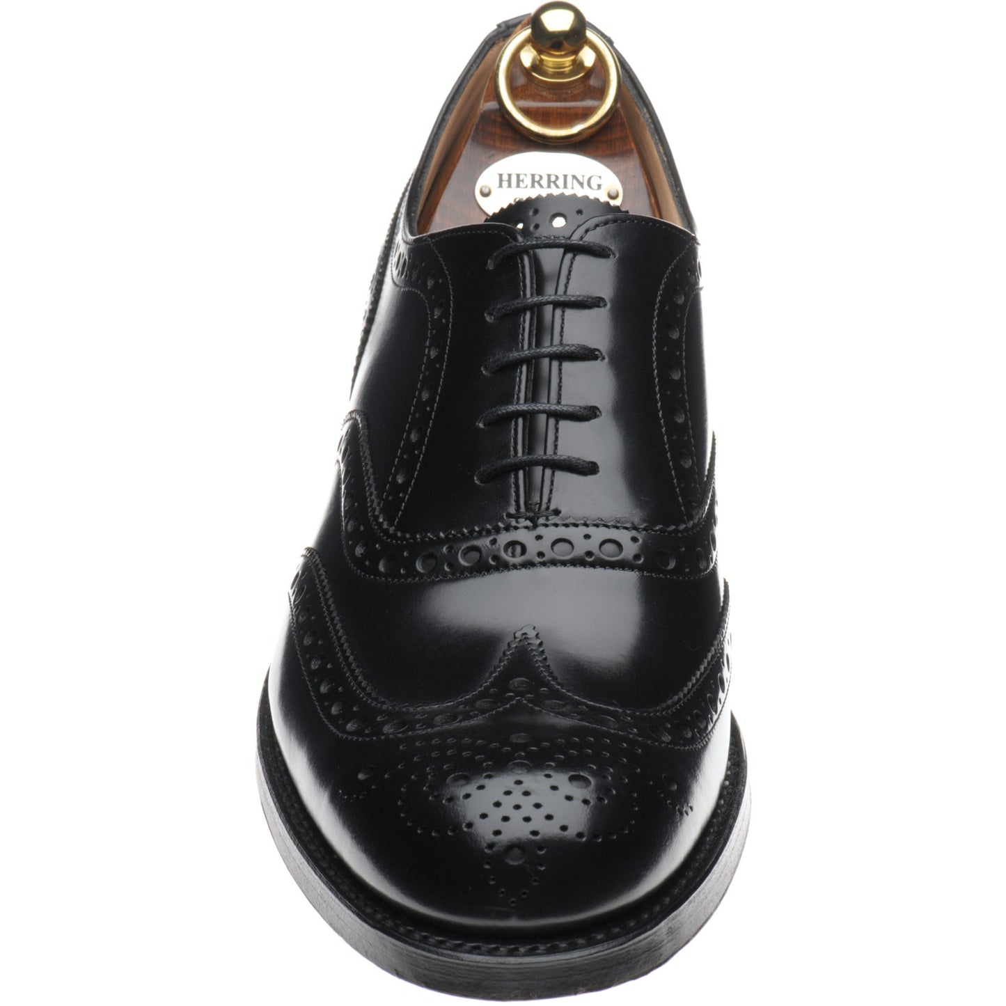 Product image for Herring Birchwood mens brogues in black polished