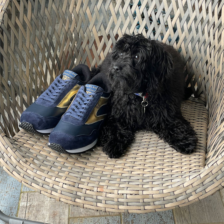 Product image for Herring Ensign Trainer mens rubber-soled trainers in blue suede and navy calf