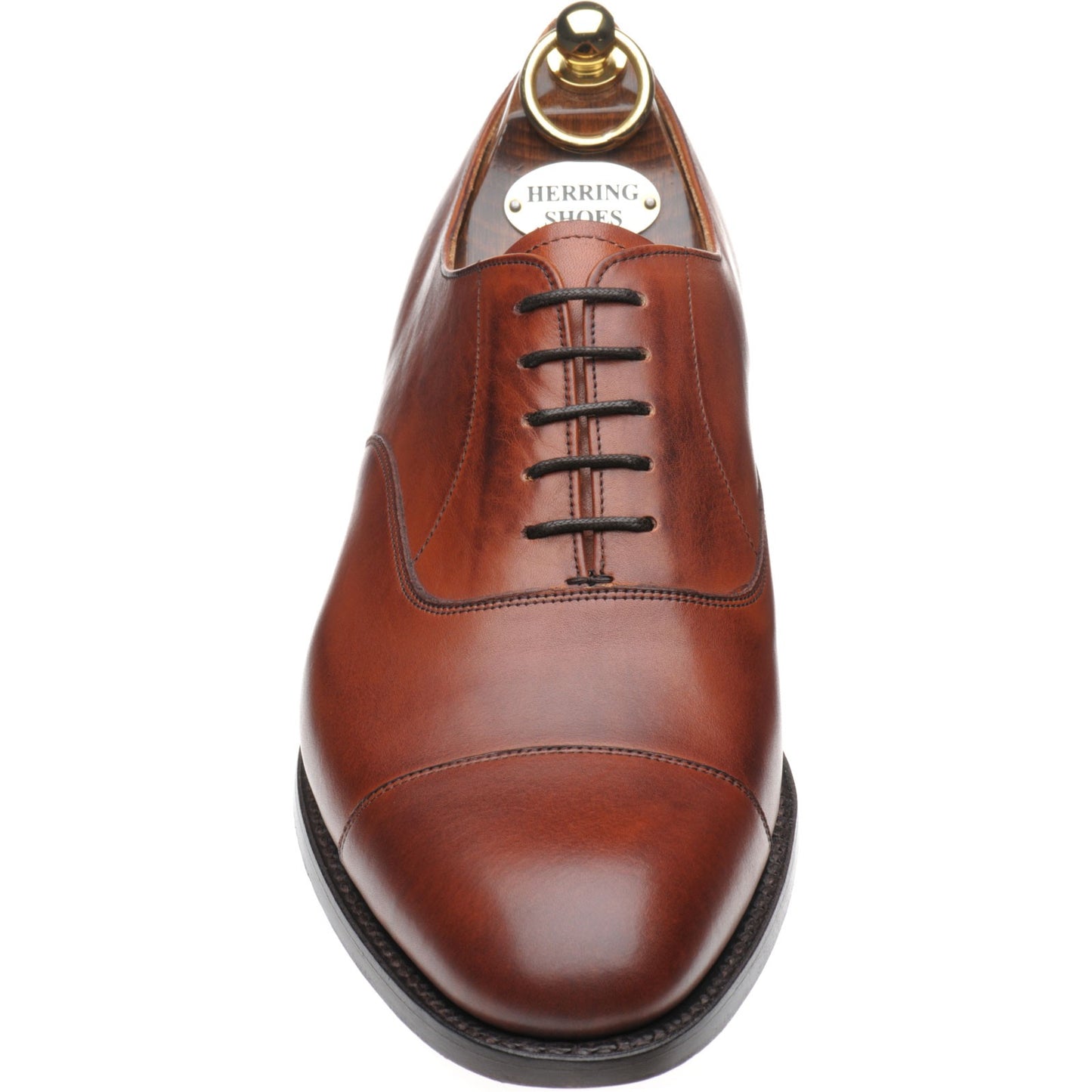 Product image for Herring Mayfair mens Oxfords in rosewood