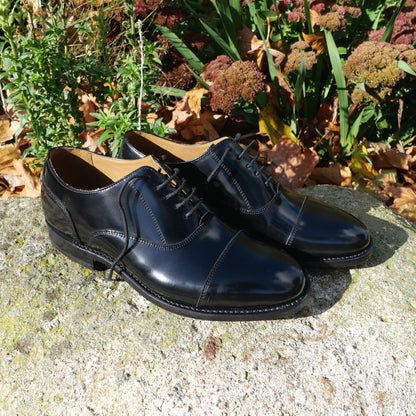 Product image for Herring Newcastle mens Oxfords in black polished (second)