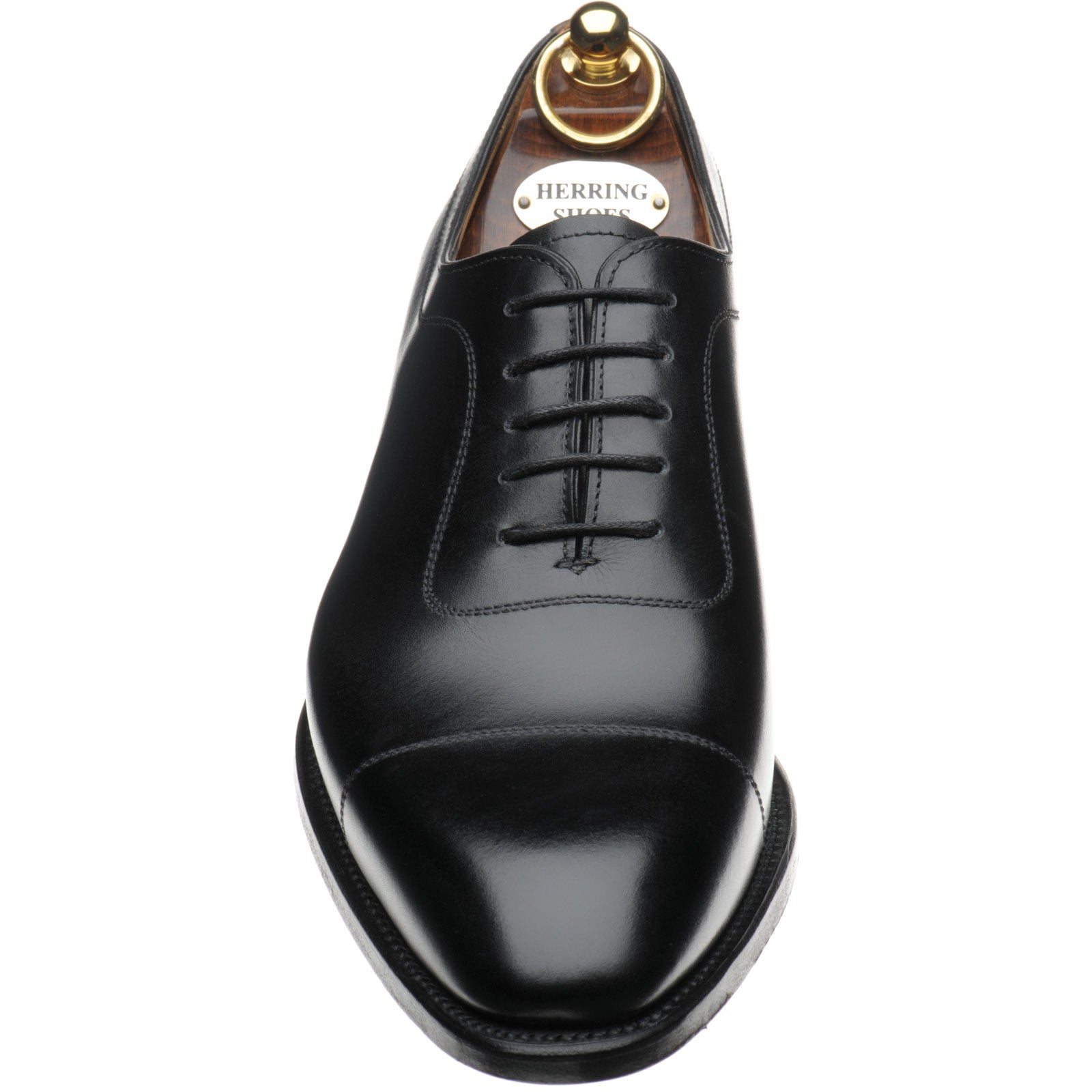 Product image for Herring Rodington mens Oxfords in black calf (second)