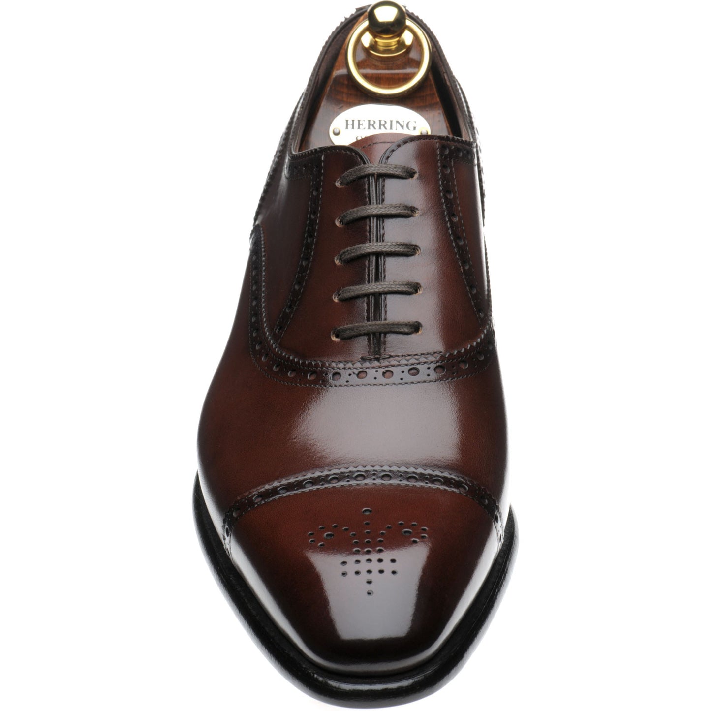 Product image for Herring Sloane mens semi-brogues in dark brown calf